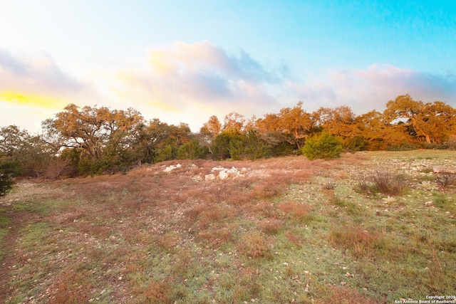 view of nature at dusk