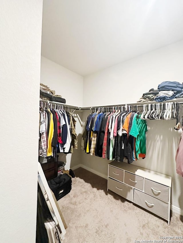 walk in closet with carpet floors