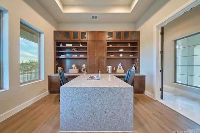 office with a healthy amount of sunlight, light hardwood / wood-style flooring, and a tray ceiling