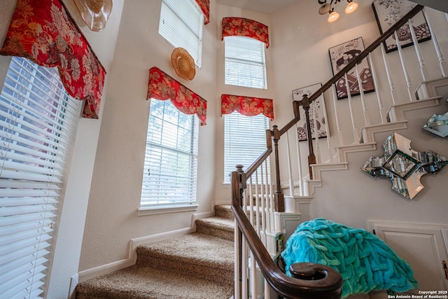 stairs featuring carpet and a towering ceiling