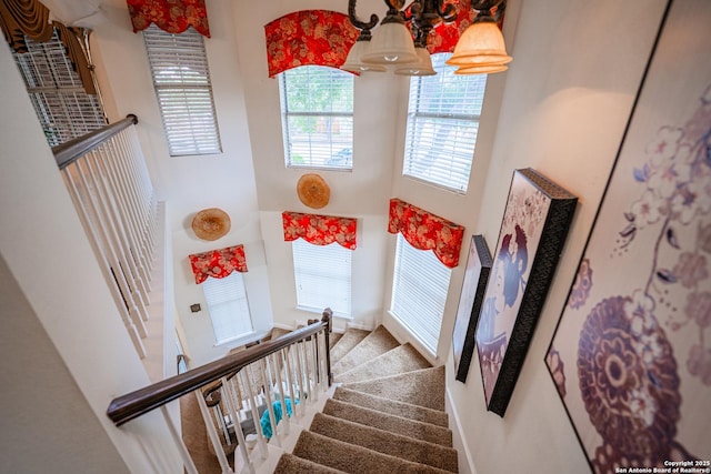 stairway featuring carpet