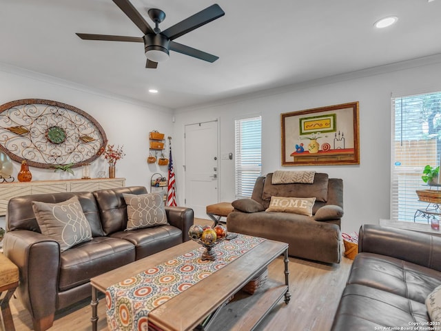 living room with light wood-type flooring, ceiling fan, and crown molding