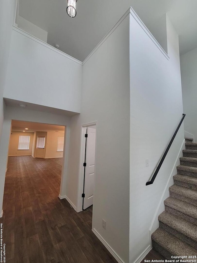 staircase featuring a high ceiling and hardwood / wood-style floors