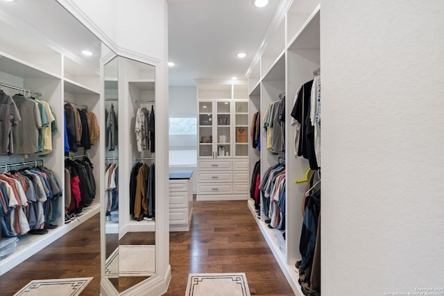 walk in closet with dark hardwood / wood-style flooring