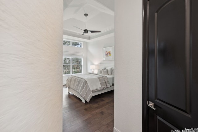 bedroom with a raised ceiling, ceiling fan, and dark hardwood / wood-style flooring