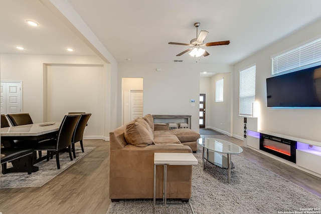 living room featuring ceiling fan and hardwood / wood-style flooring