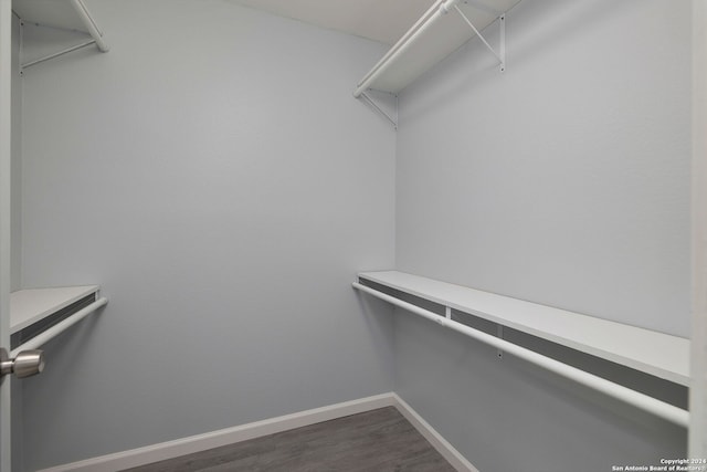 spacious closet featuring dark hardwood / wood-style floors