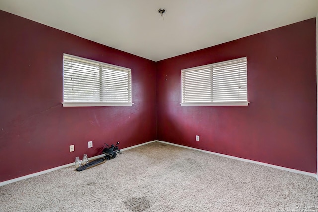 empty room featuring carpet