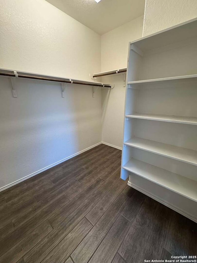 walk in closet featuring dark hardwood / wood-style flooring