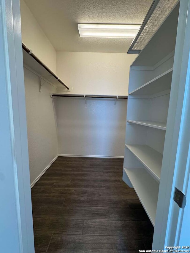 walk in closet with dark wood-type flooring