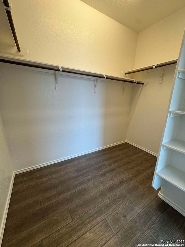 spacious closet featuring dark hardwood / wood-style flooring