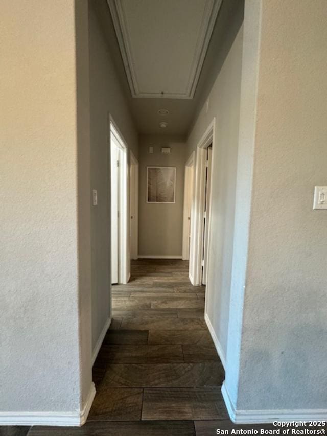 hallway with dark wood-type flooring