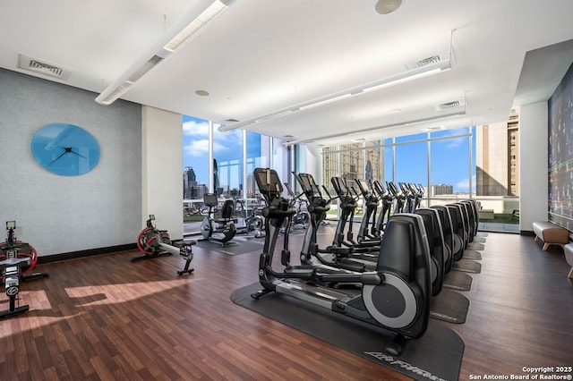 gym featuring dark wood-type flooring and floor to ceiling windows