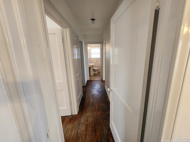 corridor with dark hardwood / wood-style floors