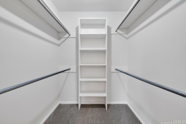 spacious closet with carpet flooring