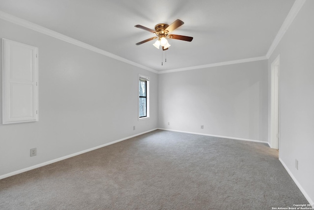 unfurnished room with ceiling fan, ornamental molding, and carpet