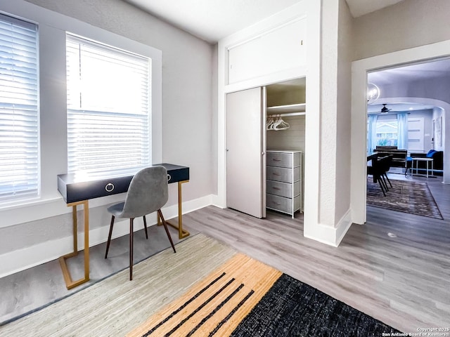 office featuring ceiling fan, plenty of natural light, and wood-type flooring