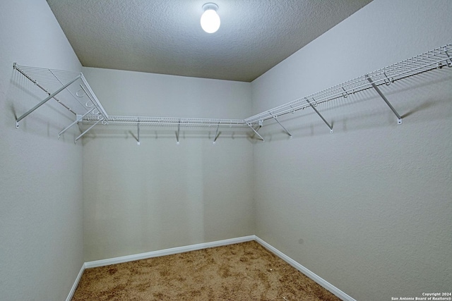 walk in closet featuring carpet floors