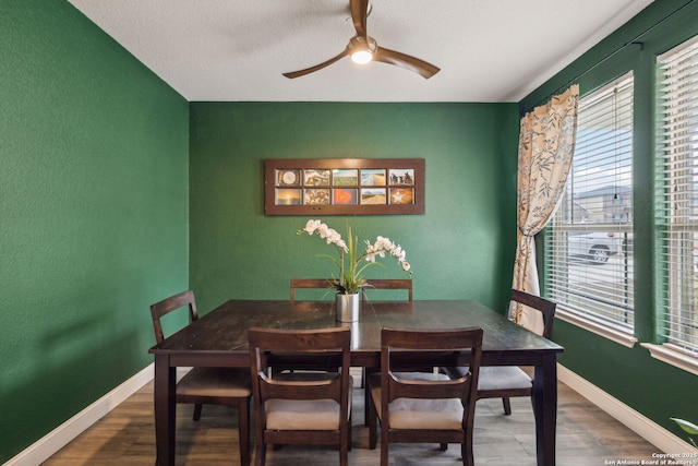 dining space with ceiling fan, a textured ceiling, and hardwood / wood-style floors