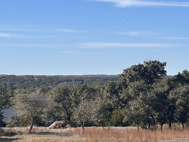 Listing photo 3 for 1222 Libby Lookout, Canyon Lake TX 78133