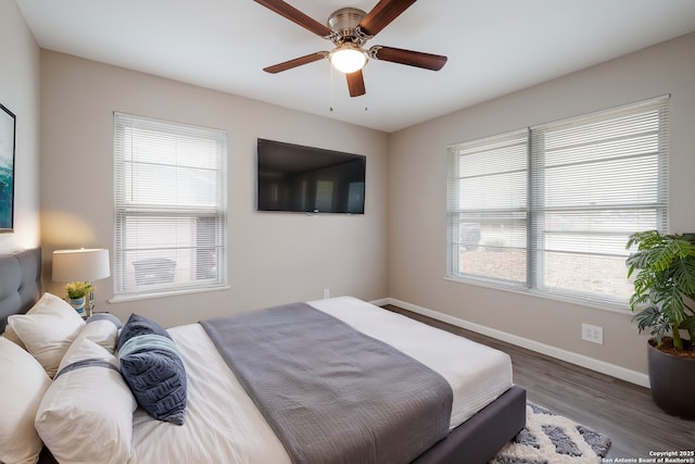 bedroom featuring dark wood-type flooring, ceiling fan, and multiple windows