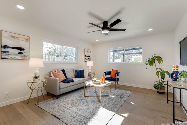 living room featuring ceiling fan and light hardwood / wood-style flooring