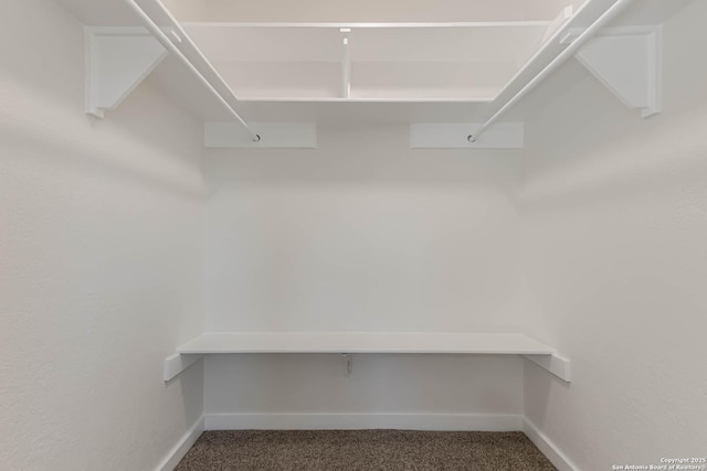 spacious closet with carpet floors