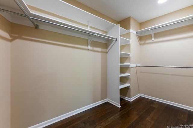 spacious closet featuring dark wood-type flooring