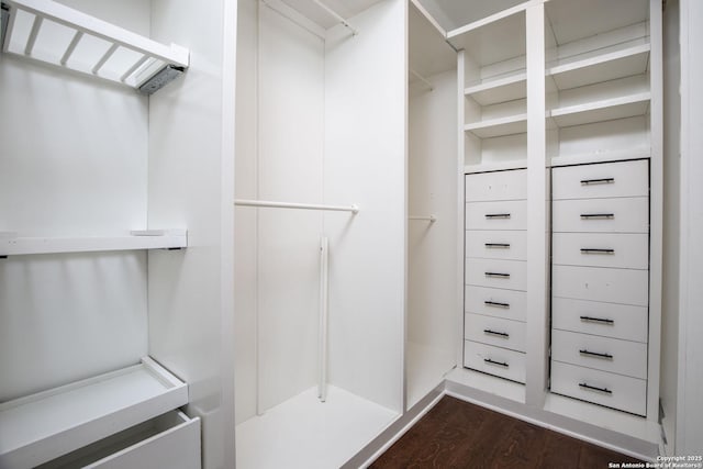 spacious closet featuring dark hardwood / wood-style flooring