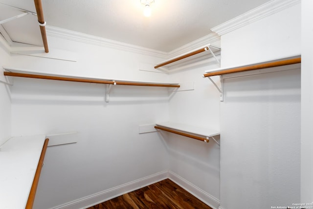 walk in closet featuring dark hardwood / wood-style flooring