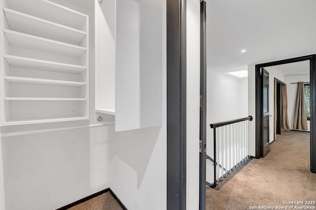 spacious closet with carpet floors