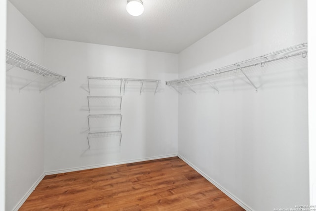 spacious closet featuring hardwood / wood-style flooring