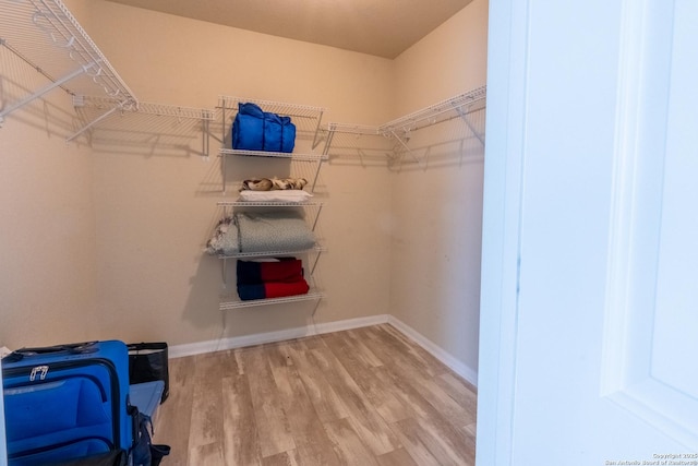 spacious closet with light hardwood / wood-style flooring