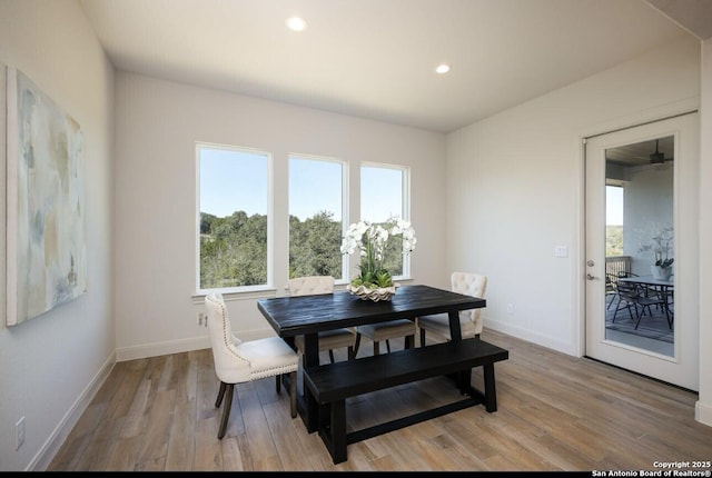 dining area with wood-type flooring