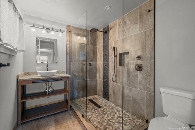 bathroom featuring toilet, vanity, and an enclosed shower