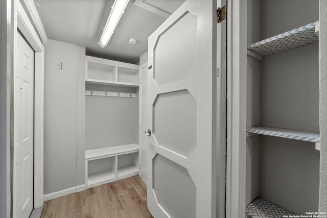 spacious closet with light hardwood / wood-style floors