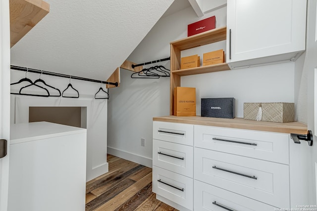 walk in closet featuring dark hardwood / wood-style floors