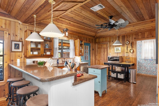 kitchen with appliances with stainless steel finishes, dark wood finished floors, visible vents, and plenty of natural light