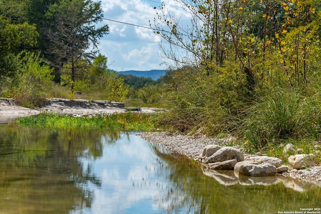 property view of water featuring a view of trees