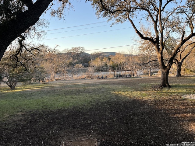 view of yard featuring a mountain view