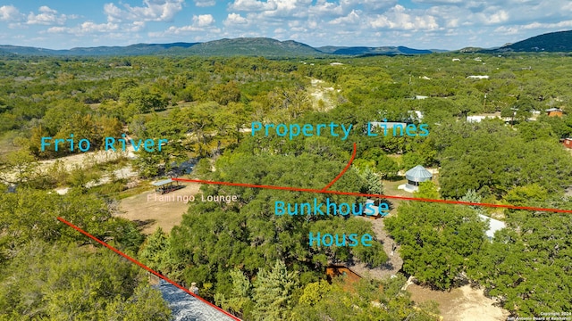 birds eye view of property featuring a forest view and a mountain view