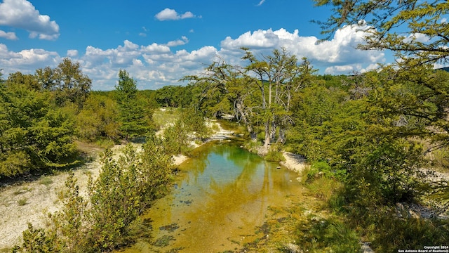 property view of water with a forest view