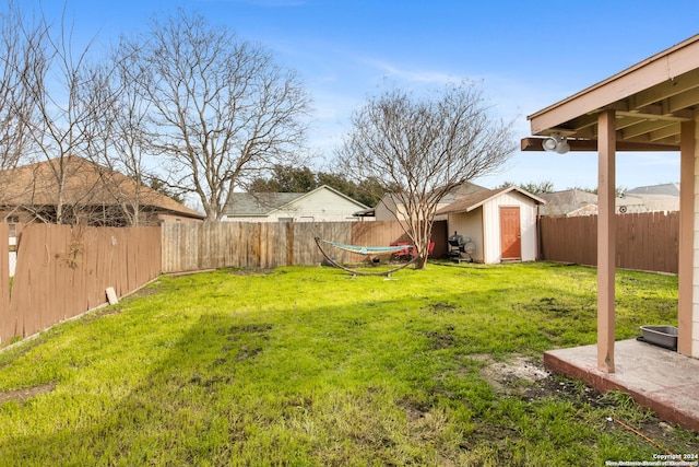 view of yard featuring a shed