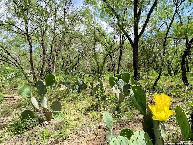 Listing photo 2 for TBD Dairy Rd, Pleasanton TX 78064