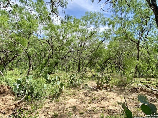 Listing photo 3 for TBD Dairy Rd, Pleasanton TX 78064