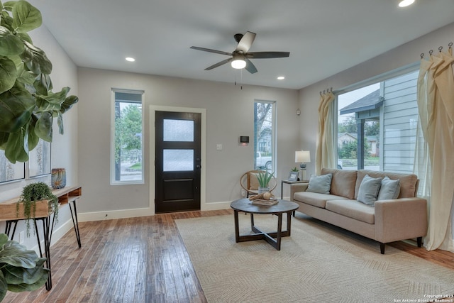 living room with ceiling fan, plenty of natural light, and light hardwood / wood-style flooring