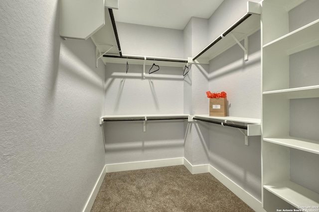 spacious closet with carpet floors