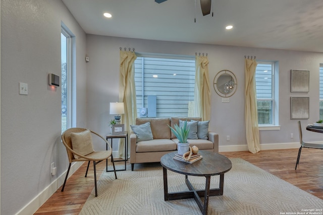 living room featuring ceiling fan and light wood-type flooring