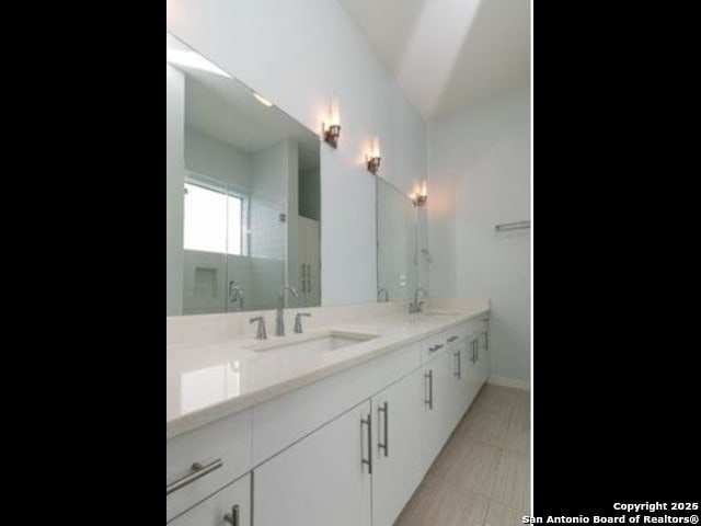 bathroom with walk in shower and vanity