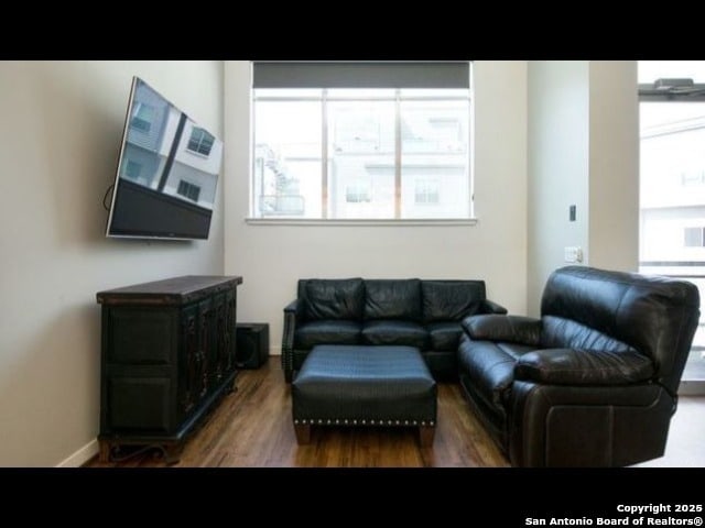 living room featuring hardwood / wood-style flooring